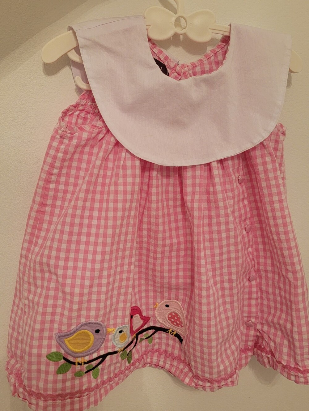 Lil Cactus embroidered Bird pink gingham preppy dress with white collar